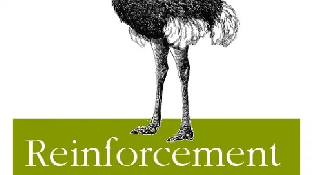 Announcement: New Reinforcement Learning Book with O'Reilly