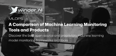 A Comparison of Machine Learning Model Monitoring Tools and Products