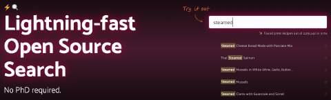 An image depicting the typesense landing page