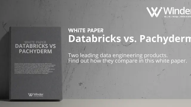 Databricks vs Pachyderm - A Data Engineering Comparison