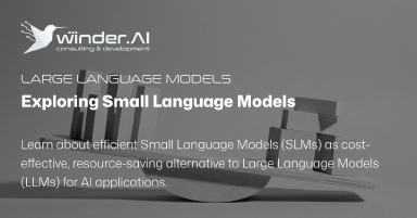Exploring Small Language Models