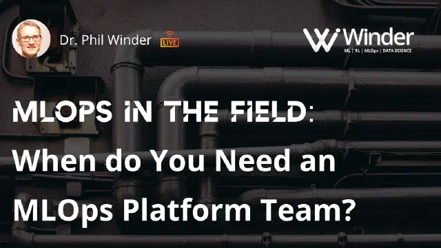 MLOps Presentation: When do You Need an MLOps Platform Team?