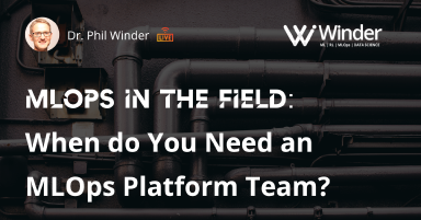 MLOps Presentation: When do You Need an MLOps Platform Team?