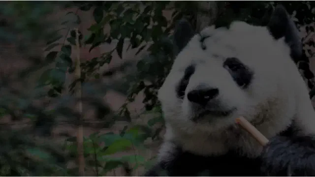 Scikit Learn to Pandas: Data types shouldn't be this hard