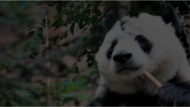 Scikit Learn to Pandas: Data types shouldn't be this hard